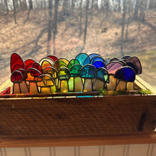 mushroom plant decor