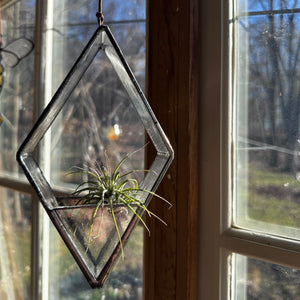 Air plant stained glass hanger