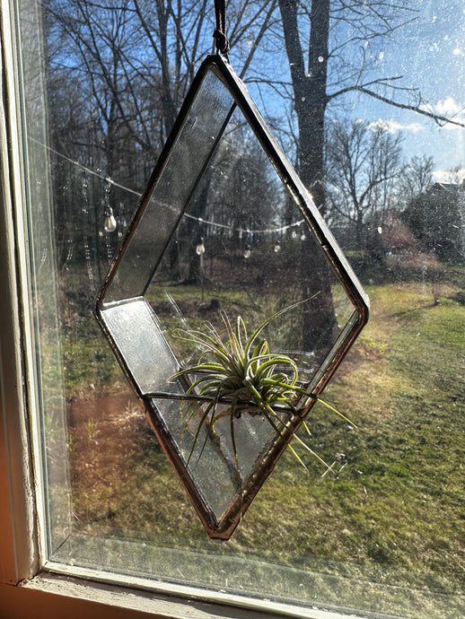 Air plant stained glass hanger